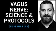 Control Your Vagus Nerve to Improve Mood, Alertness & Neuroplasticity